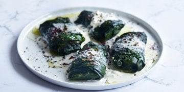 PAZIYA SARILI LEVREK