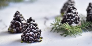 ÇAM AĞACI ÇİKOLATA KAPLI BUĞDAY PATLAĞI